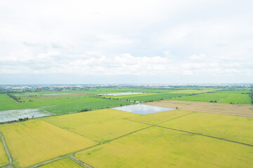 field background, top view landscape, nature