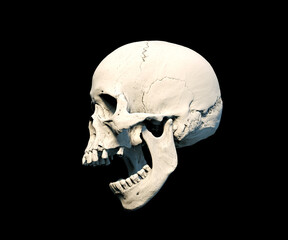 The Anatomical right Human skull in full face on a black isolated background. Concept of death, horror. Spooky Halloween symbol, virus. print, poster. wallpaper. 3d render illustration.