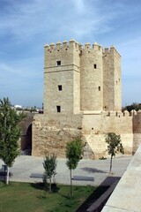 Fototapeta na wymiar Torre De Calahorra, Cordoba, Spain.