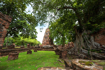 Landscape the ruins of ancient city of ayutthaya (Ayutthaya Historical Park) are the  famous sightseeing place at Phra Nakhon Si Ayutthaya Province, Thailand. (Public domain)