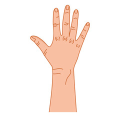 Fototapeta premium Hand gesture. Hand. Vector. Color graphics. Sign with the fingers. Intercultural communication. Emotions. Linear drawing. White background.
