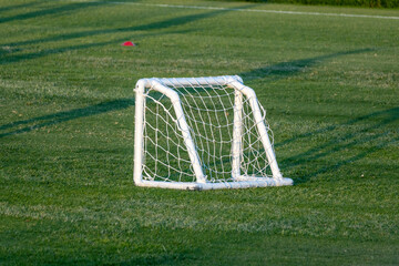 Small soccer goal game green grass