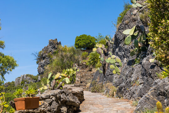 All&eacute;e du Jardin M&eacute;diterran&eacute;en de Roquebrun en &eacute;t&eacute;