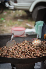 Cooked Blood Cockles on the plate, close-up.