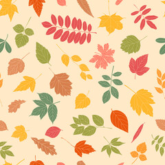 Autumn leaf seamless pattern.