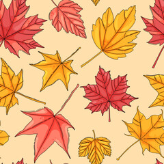 Autumn maple leaf seamless pattern. Coloured tree leaves print
