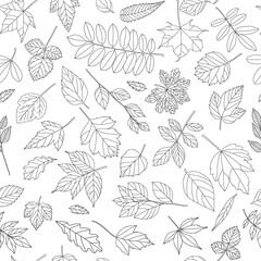 Autumn leaf seamless pattern. Black and white tree leaves print