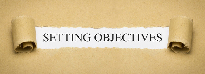 setting objectives