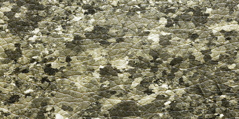 Beautiful terrazzo stone texture, pebble stone background