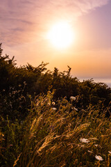 Atardecer