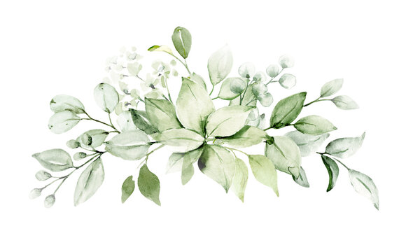 Leaves border. Watercolor hand painting floral background. Green leaf, plant, branch, floral design isolated on white.	
