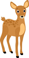 Little deer baby, on a white background