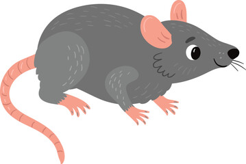 Vector illustration. Rat on a white background