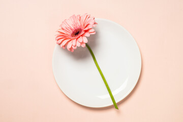 White plate and pink flower. Spring or summer table setting. Top view.