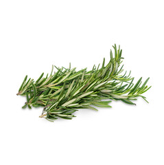 Rosemary isolated on white background