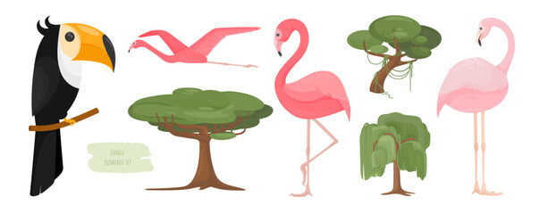 Tropical birds and plants big vector set on white background. Pink flamingos and toucan sitting on branch. Tall deciduous trees with wide crown. Wild Jungle. Decorative elements for banner design. Zoo