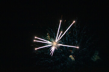 Festival Fireworks