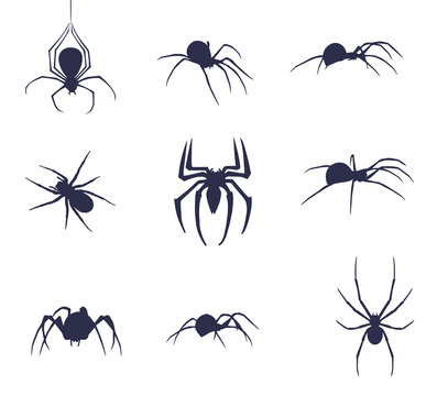 Set of nine silhouettes of spiders. Halloween spider set