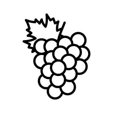 Grape line icon. plant, bunch. Pictogram isolated on a white background.