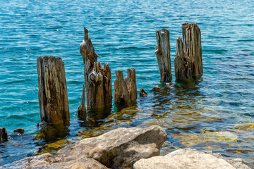 Landscape of the Huron Lake water and old withered wooden dock posts or marina wreck at sunny day in Georgian Bay near Spirit Rock Conservation Area at Wiarton, Ontario, Canada.