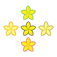 Fototapeta premium Yellow frangipani flower illustration vector