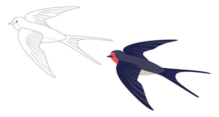 Coloring page outlined flying swallows. Bird in flight. Vector flat illustration isolated on white. Coloring book for children. - obrazy, fototapety, plakaty