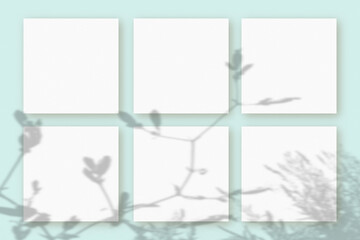 Natural light casts shadows from wildflowers on 6 square sheets of white textured paper lying on a blue textured background. Mockup. Natural light casts shadows from a branch of wildflowers