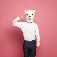 Portrait of man wearing white lama mask on pink background © artmim