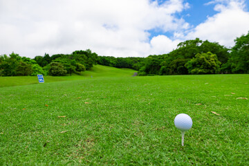 ゴルフ場のティーグラウンドからの眺めとティーアップされた白いゴルフボール（千葉県富津市） - obrazy, fototapety, plakaty