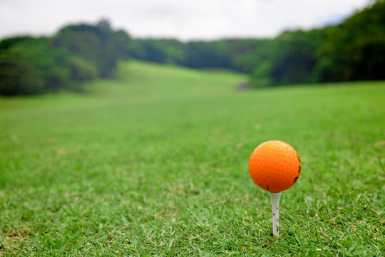 ゴルフ場のティーグラウンドからの眺めとティーアップされたオレンジのゴルフボール（千葉県富津市）