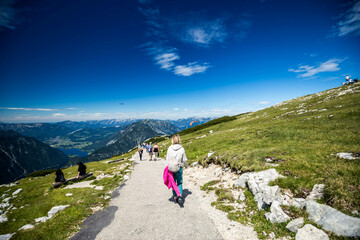 Traveler, Summer mountains, panorama of the Austrian Alps