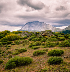 Paisaje de naturaleza con una montaña rocosa de fondo un cielo de nubes grises y vegetación de formas redondeadas de primer plano.