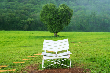 wooden chair and green tree with heart shape and heavy raindrop