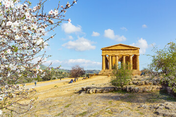 Fototapeta na wymiar Temple of Concordia, Agrigento, Valley of the Temples