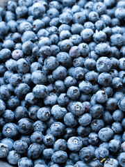 blueberries in a bowl. close up shot of a blueberries. blueberries background