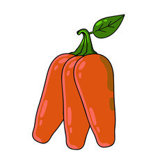 Hot red pepper. Mexican spice. Outline cartoon isolated on white