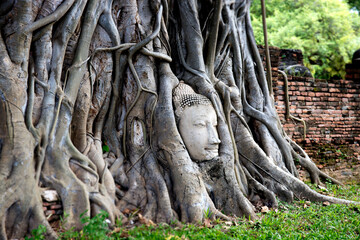 Fototapeta na wymiar Buddha Head Statue Wat Mahathat Ayutthaya