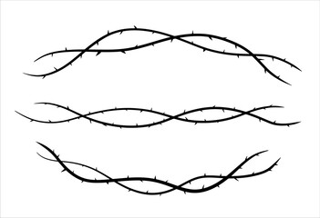 Thorn branch or vine. Natural intertwined pattern. Element of tattoo with spike