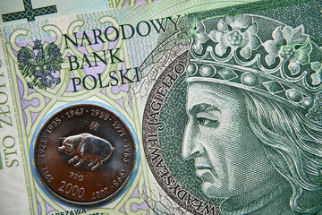 polski banknot,100 PLN, moneta somalijska , Polish banknote, 100 PLN, Somali coin - obrazy, fototapety, plakaty