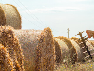 A ranch field with bales of hay with a farm cultivator. Feed for livestock, production of silage in...