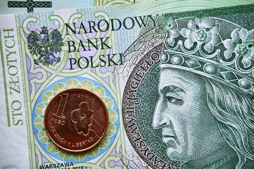 polski banknot,100 PLN,  argentyńska moneta, Polish banknote, 100 PLN, Argentine coin - obrazy, fototapety, plakaty