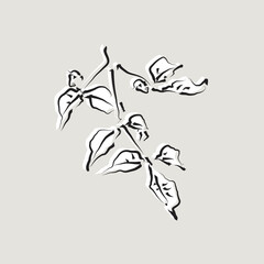 Botanical Illustration, Minimalist Branch & Leafes in japanese style.