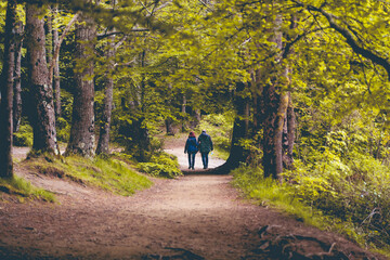 Obraz premium Couple walking in the woods