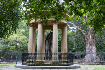 Fototapete bei efototapeten.de bestellen   