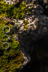 Three wedding rings on green Icelandic moss