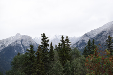 Landscape view of trees and mountains in town of Canmore in Banff