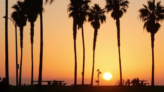 Orange sky, silhouettes of palm trees on beach at sunset, California coast, USA. Bicycle or bike in beachfront park at sundown in San Diego, Mission beach vacations resort on shore. People walking.