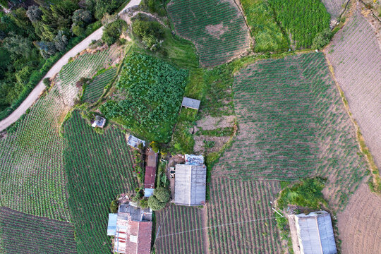 Cultivos de cebolla junca, papa, criolla, arboles y valles que rodean la laguna de Tota, ubicada en Boyac&agrave; Colombia 