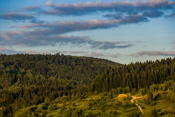 spruce Carpathian forest, Skole Beskids National Nature Park, Lviv region of Ukraine