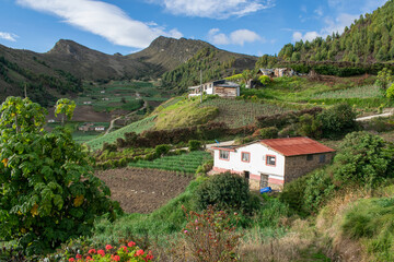 Casa campesina rodeada de cultivos de cebolla junca, criolla, papa y hortalizas , ubicada alrededor...